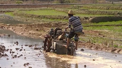 《全粤村情》平远卷10月付梓 收录全县407个自然村历史人文