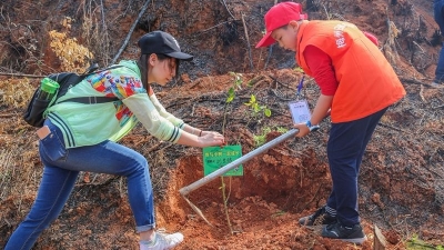 小记者丨我和小树共成长
