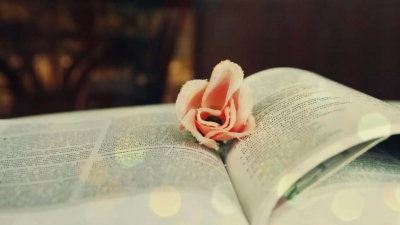 小记者古城秀作品丨好书，一路有你