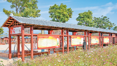 蕉岭：以实干担当推动生态富民强县