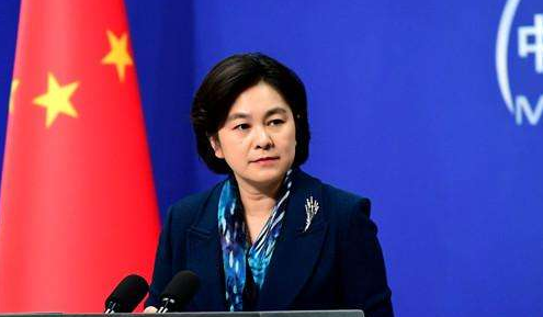 外交部发言人华春莹就中方召回驻立陶宛大使答记者问