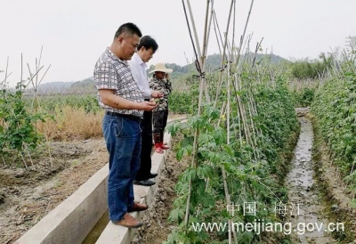 省农业厅到梅江区开展科技下乡活动