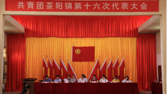 共青团大埔县茶阳镇第十六次代表大会召开