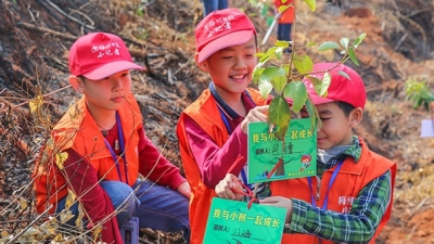 小记者丨我为创森出份力