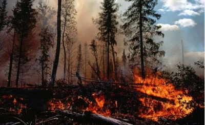 五华开展森林防火知识宣传志愿活动