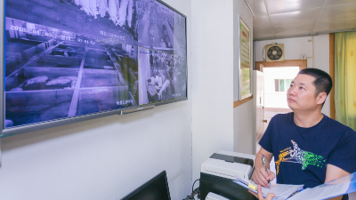 办公室可看生猪屠宰全过程！梅县15个屠宰场实现信息化监管