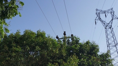 树木生长茂盛“逼近”高压线，村民盼及时修剪消除隐患  