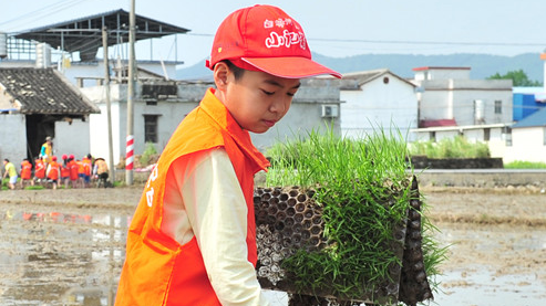 小记者丨走进“泥巴地”