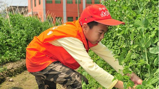 小记者丨绿色“月牙”