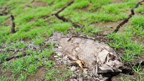 五华县城饮用水水源地桂田水库“告急”