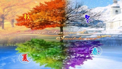 碰笔会丨大自然的馈赠