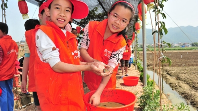 小记者丨“围捕”泥鳅