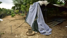 "养鸡专业户"原是"盗销一条龙"窝点 梅江警方抓获一名偷鸡贼