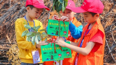 大手拉小手 共种“小记者林”