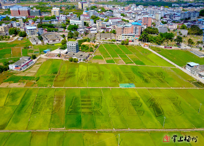 “精准扶贫 金融助力”主题系列活动走进梅县松口