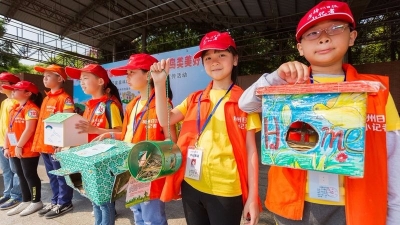 小记者王茹雅作品丨我帮鸟儿“盖房子”