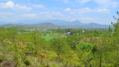 平远推进造林绿化工程 今年计划完成造林更新3.5万亩