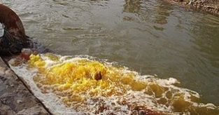 协办非法电镀厂排放有毒污染物，协办者同犯污染环境罪