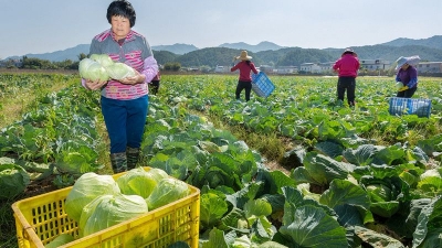 蕉岭三圳镇积极引进农企盘活资源助力产业发展