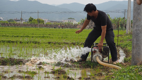梅州新农人丨“公私兼济”筑梦生态田园
