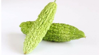 小记者王佳宇作品丨爱它“苦尽甘来”