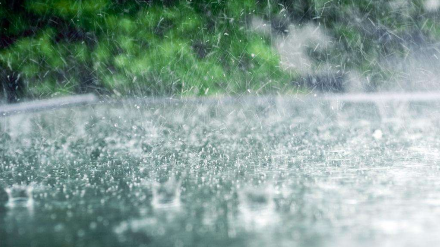 雷雨+大风+降温三连击！梅州天气明日开始变脸！