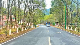 梅县：争取今年95%以上行政村通公交车