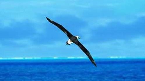 碰笔会丨在逆境中成长