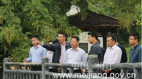 梅江区委书记朱国城到西阳镇调研美丽乡村建设工作