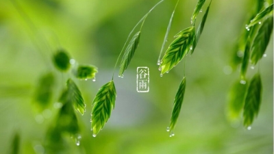 20日11时13分“谷雨”：杜鹃夜啼，牡丹吐蕊