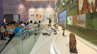 平远五指石省级地质公园今日开园，地质博物馆免费开放