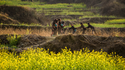 青春笛丨田埂上跑过童年
