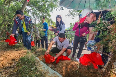 传统殡葬观念逐渐“松绑” 树葬成为市民殡葬新选择