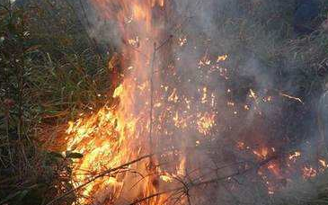 扫墓要注意了！五华今日发生两起山火，警方已介入