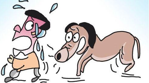 狗“记仇”咬人  责任由谁担？看丰顺法院怎么处理…