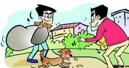 蕉岭俩情侣与“好邻居”勾结  毒狗偷狗10多只