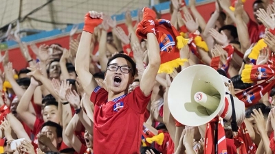 图集丨足球赛场“第12人”