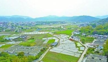 梅县区贯彻落实全省乡村振兴工作会议精神