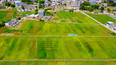 中国乡村复兴论坛·梅县峰会16至19日举行，乡村美景先睹为快！