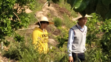 梅州新农人丨“琴怀”夫妻共酿甜蜜的事业