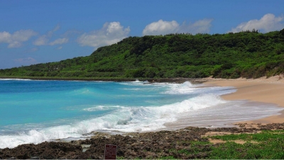 小记者萧垚作品丨难忘宝岛之旅