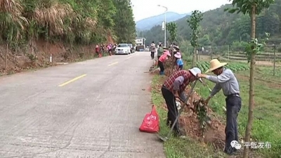 平远上举镇：添花种树打造特色森林小镇