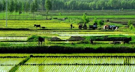 蕉岭的农民朋友看过来，这项改革事关你的切身利益！