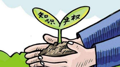 我市举办“保护创作，推进运用”知识产权座谈会