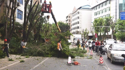 丰顺汤坑路、五一路近期修剪路树！作业期间禁止停放车辆