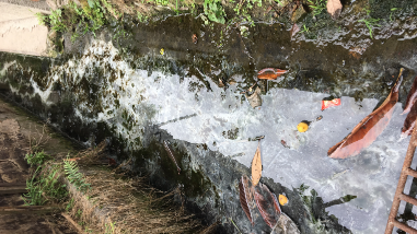 何时休？梅江区三角圩镇直街排污不畅致蚊虫扰民