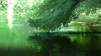 小记者张蔚婷作品丨享受这春雨