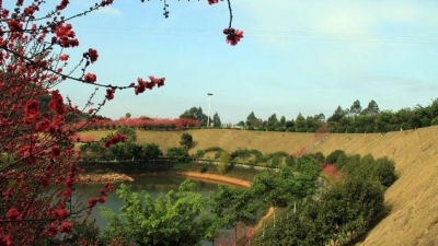 小记者詹皓程作品丨麓湖山庄的美景