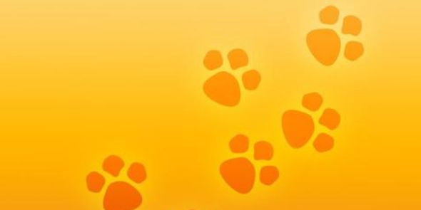 教育周刊丨“小梅花”踩出的童年