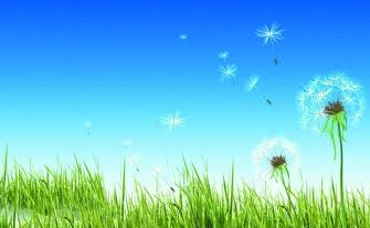 教育周刊丨弯腰，拾获明媚春光